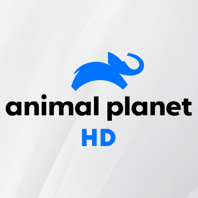 ANIMAL PLANET HD